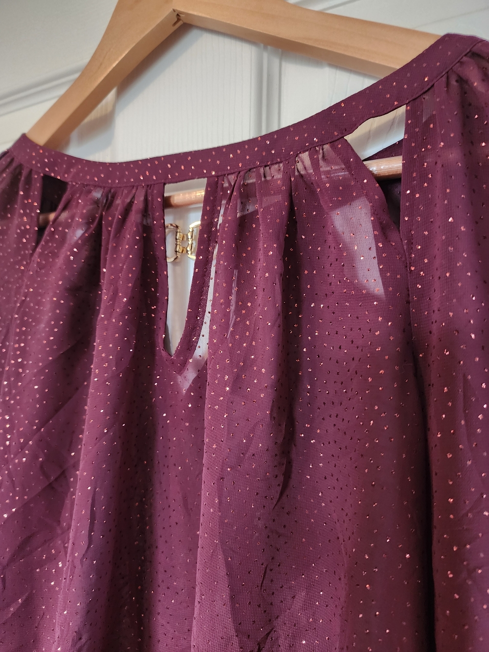 Jennifer Lopez Sheer, Shimmery Long-Sleeve Peasant Blouse in Plum - Picture 3 of 6